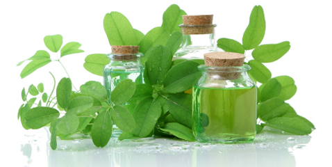 green leaves and bottles, northstar natural, medicine